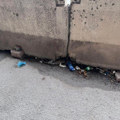 Rifiuti sotto al ponte della 16bis