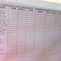 Rosa attuale Vigor Trani