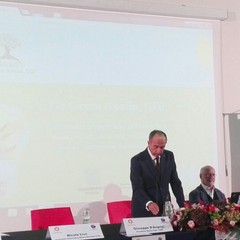 Festa della scuola
