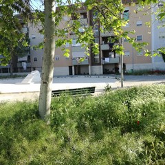 Quartiere Sant'Angelo