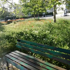 Quartiere Sant'Angelo