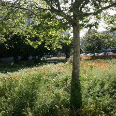 Quartiere Sant'Angelo