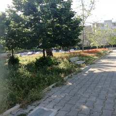 Quartiere Sant'Angelo