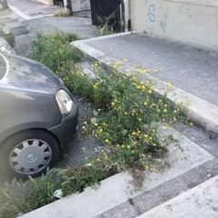 Quartiere Sant'Angelo