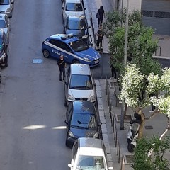 Gattino intrappolato