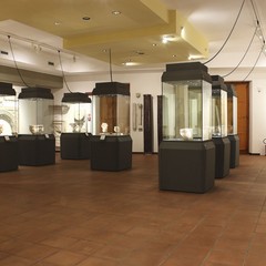 Musei della Fondazione Seca