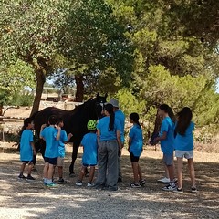 Solinio Eco Village Campo estivo