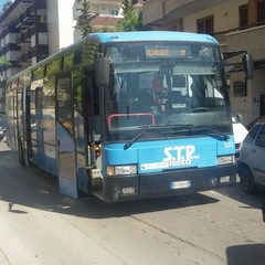 Autobus Stp