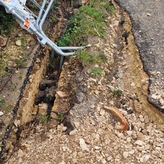 Trani Contrada Santa Lucia