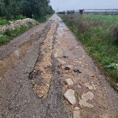 Trani Contrada Santa Lucia