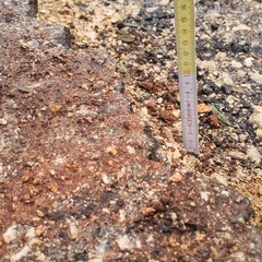 Trani Contrada Santa Lucia