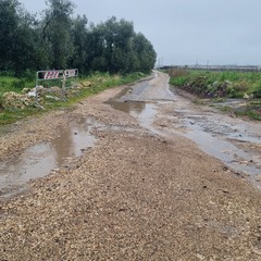 Trani Contrada Santa Lucia