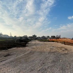 Trani Costa Sud JPG
