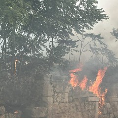 Trani Incendio S Angelo