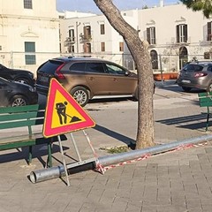 Trani Palo storico Piazza Gradenico