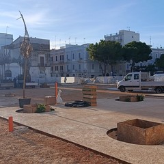 Trani Piazza Gradenico