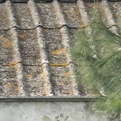 Trani Piazza Lambert Amianto JPG