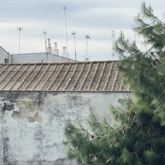 Trani Piazza Lambert Amianto JPG