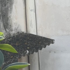 Trani Piazza Lambert Amianto JPG