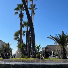 Trani Piazza Plebiscito