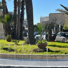Trani Piazza Plebiscito