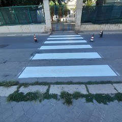 Trani Polizia Locale Segnaletica