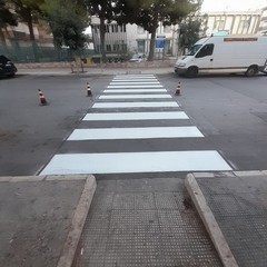 Trani Polizia Locale Segnaletica