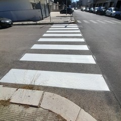Trani Polizia Locale Segnaletica