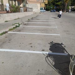 Trani Polizia Locale Segnaletica