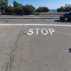 Trani Polizia Locale Segnaletica