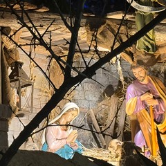 Trani Presepe in Piazza Libert Allocazione del bambinello