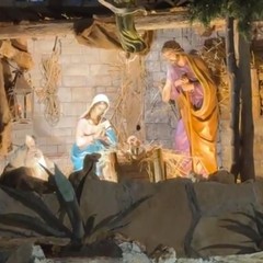 Trani Presepe in Piazza Libert Allocazione del bambinello JPG
