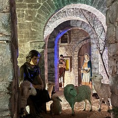 Trani Presepe in Piazza Libert Allocazione del bambinello