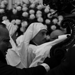 La Processione della SS. Addolorata (Trani)