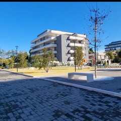 Trani Rotatoria Via Malcangi JPG