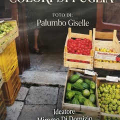 Trani Via Zanardelli JPG