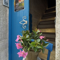 Trani Via Zanardelli JPEG