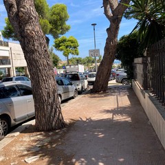Trani Viale De Gemmis