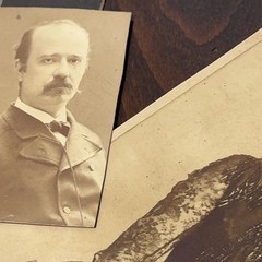 Traninostra Gaetano Quercia JPG