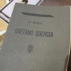 Traninostra Gaetano Quercia JPG