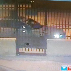 Tentato furto in un'azienda tranese