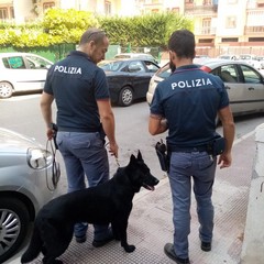 Polizia cinofila