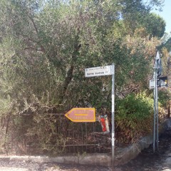 Strada provinciale Trani-Corato, incendio in una villa privata