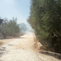 Strada provinciale Trani-Corato, incendio in una villa privata