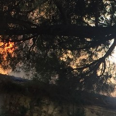 Ancora fiamme nella villa di via Verdi