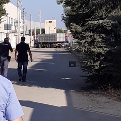 Colpo alla Bartolini trasporti