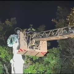 Vigili del Fuoco Omaggio Floreale SS Immacolata