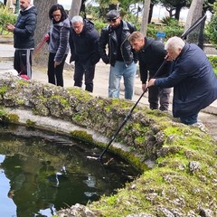 Villa Comunale moria delle tartarughe