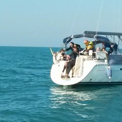 Tartarughe rimesse in libertà