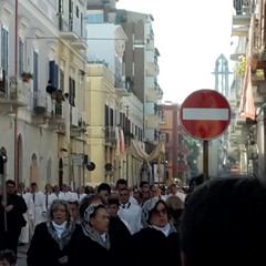 Immacolata concezione